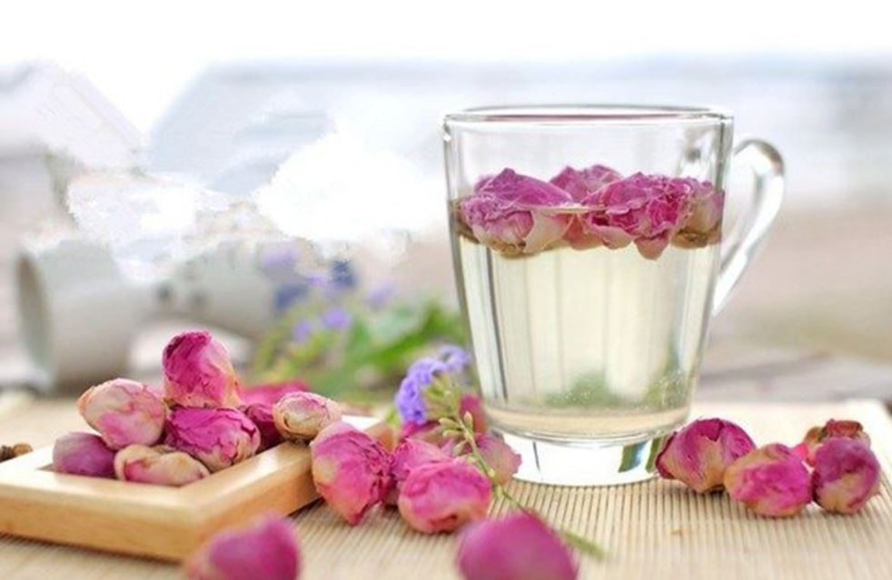 Bạch Trà Mai Khôi